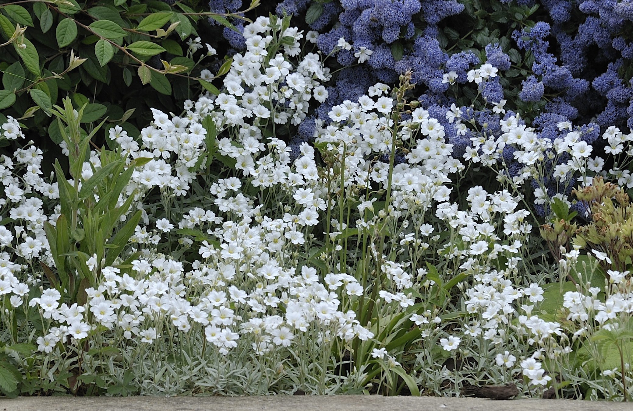 _DSC4155 sig120x400 300mm crop 50%