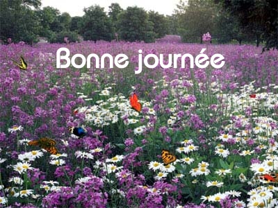 Bonne journée (lundi 7 juin) 100602044827148916149240