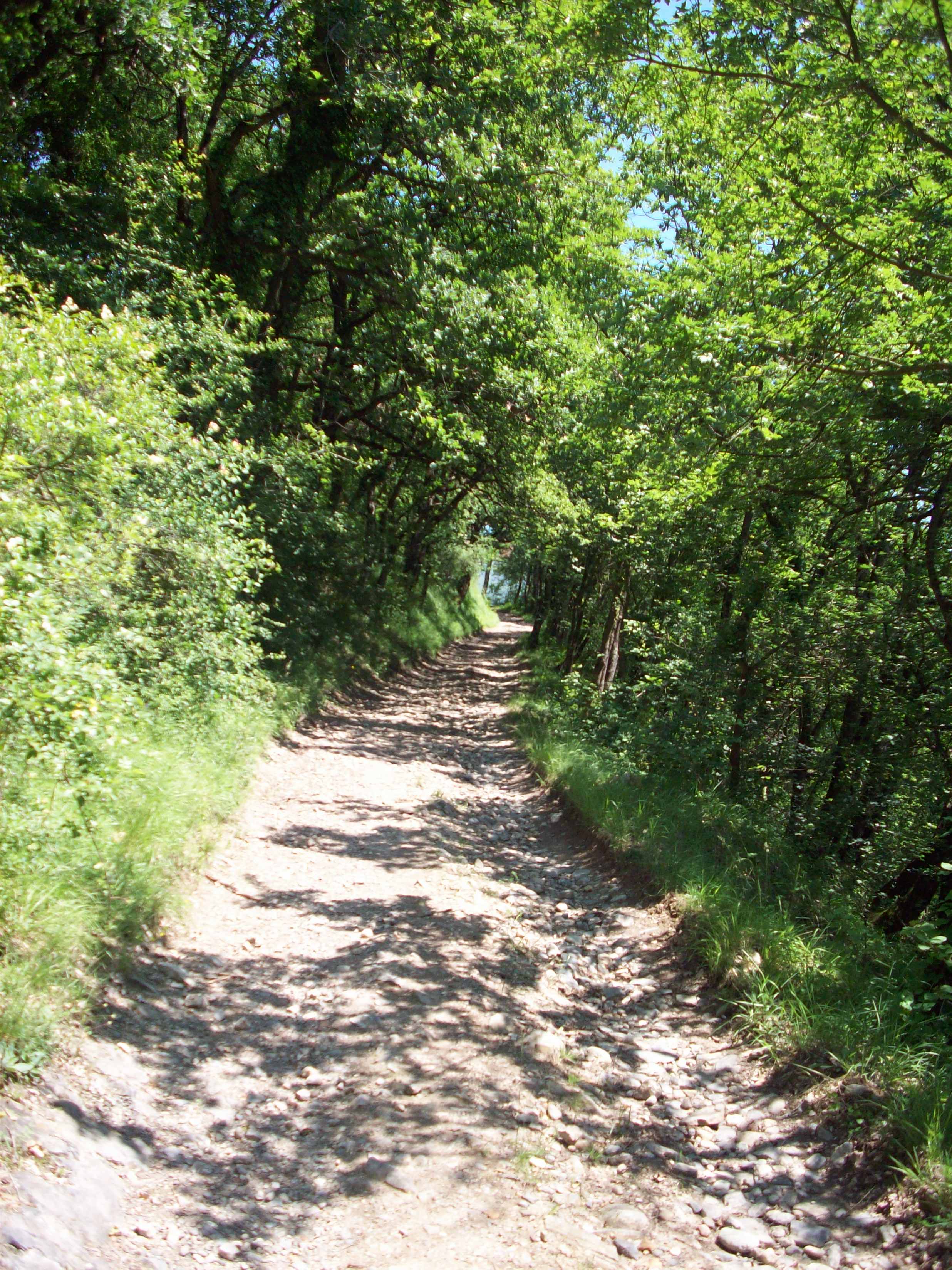 07 - Mont&Atilde;&copy;e du petit Brion