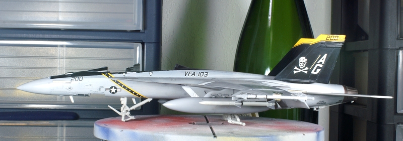 [hasegawa] F18F Hornet Jolly Rogers 1/72 1006060621201050216175785