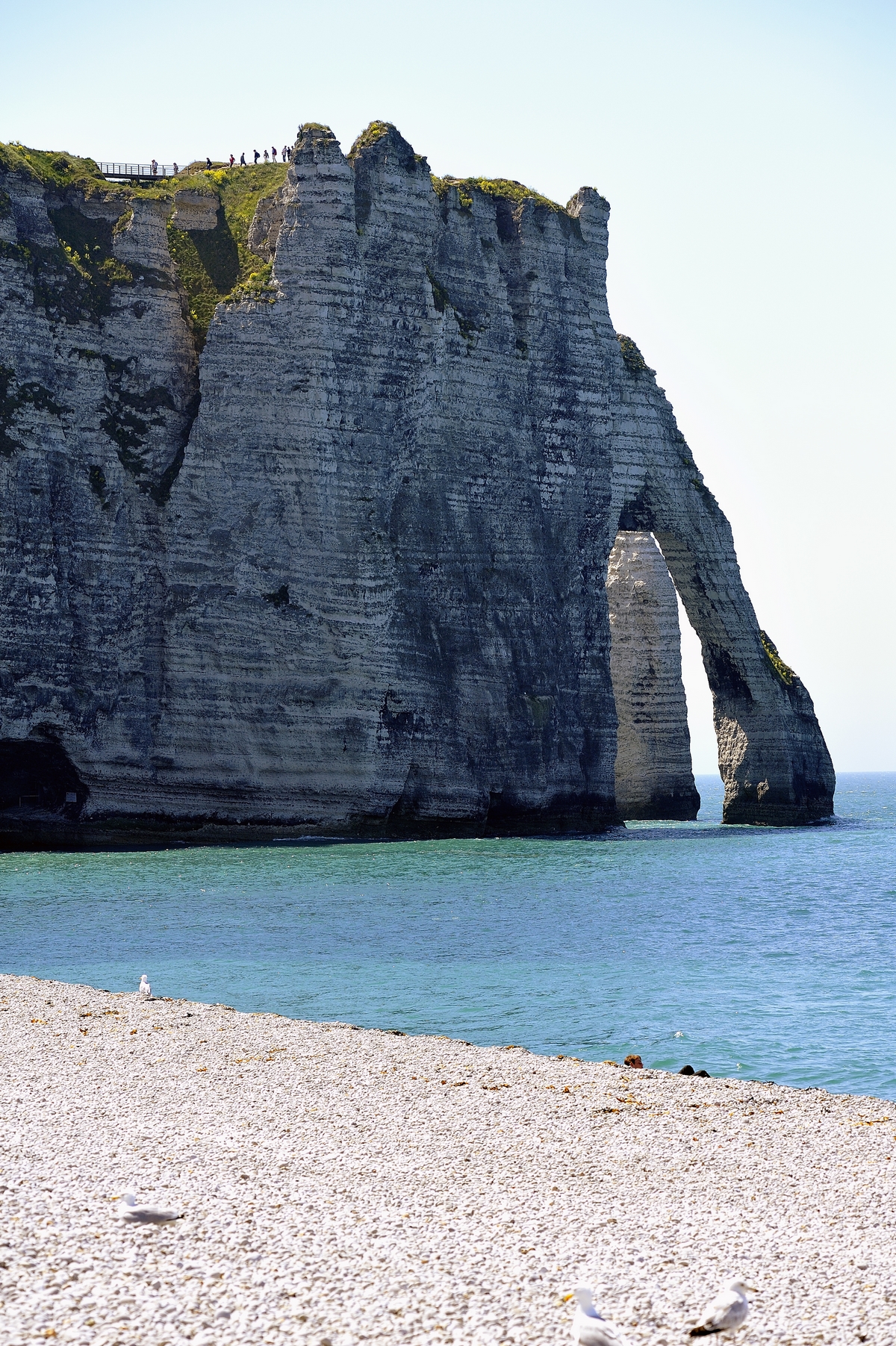 _DSC4382 nx2 2 1200x1800