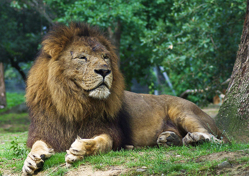 imgp0235b_modifi&Atilde;&copy;-1