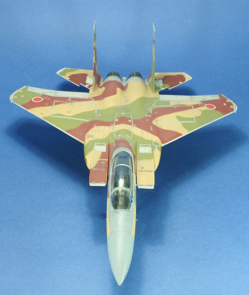 [hasegawa] Mc DD F-15J agressor version été 1006210718401050216271769
