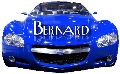 Bernard - Bernard 10062310465777696286046