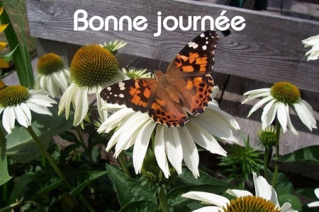 Bonne journée (mercredi 30 juin) 100625045014148916292884