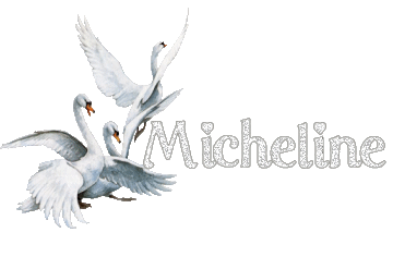 Micheline (6) 10062712441277696303767