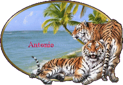 Antonio - Antonio 10063007340477696325278