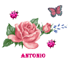 Antonio - Antonio 10063007340577696325285