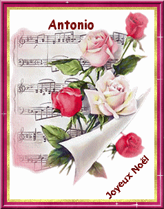 Antonio - Antonio 10063007340577696325286