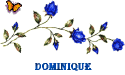 Dominique 10070106514477696331298