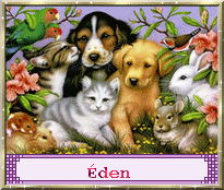 Eden - Eden 10070110172077696332419