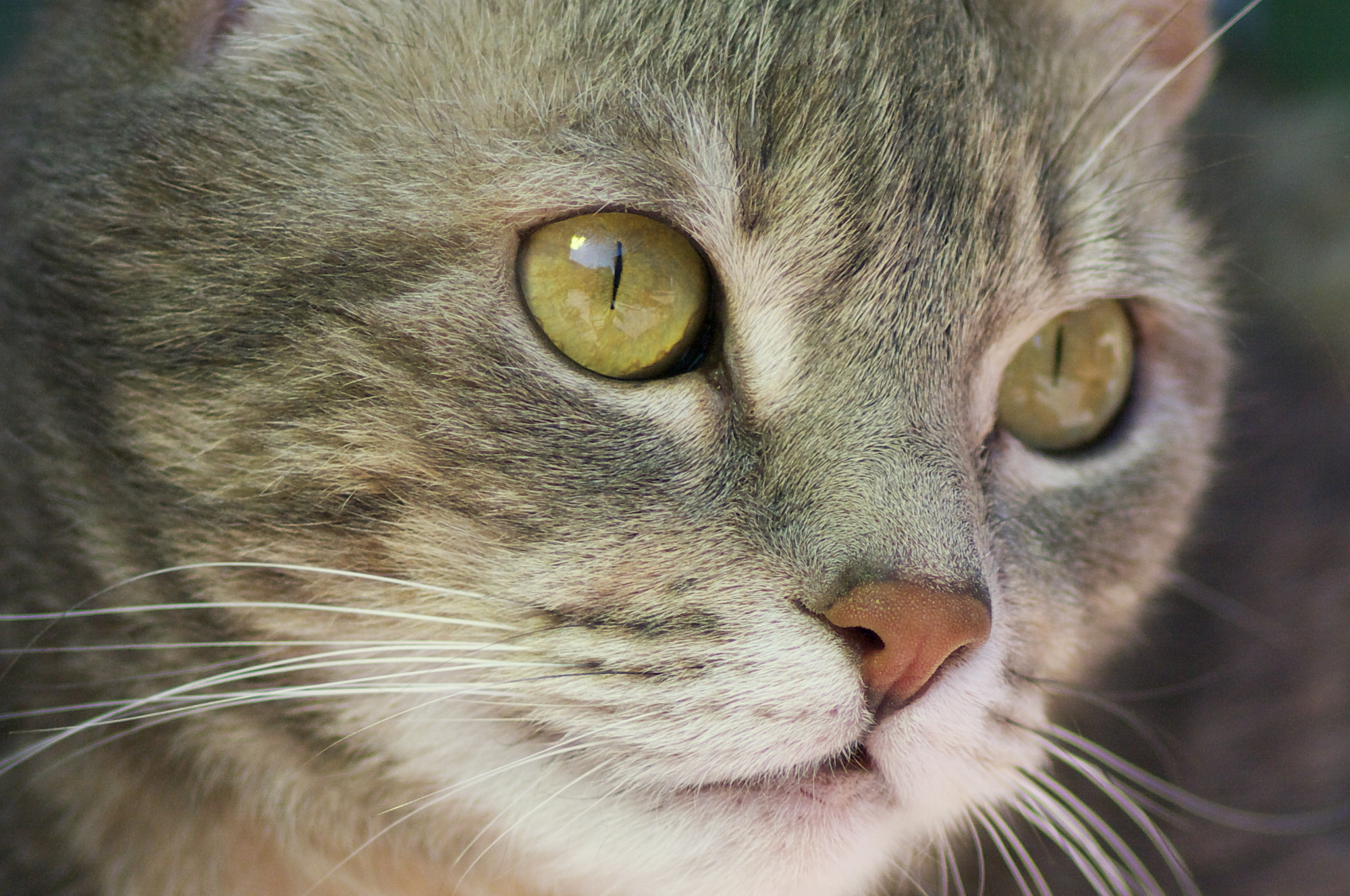 9-IMGP6727-Crop-100%