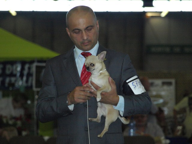 P7116463 [1600x1200]