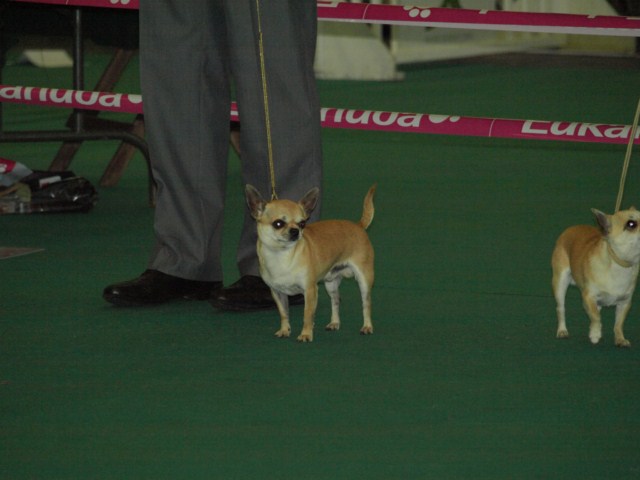 P7116465 [1600x1200]