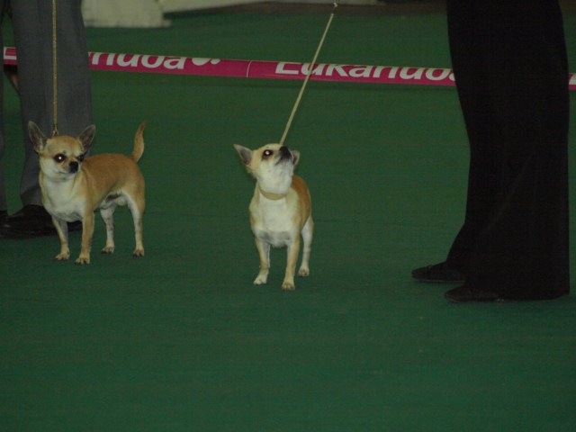 P7116466 [1600x1200]