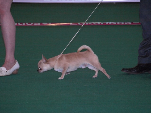 P7116467 [1600x1200]