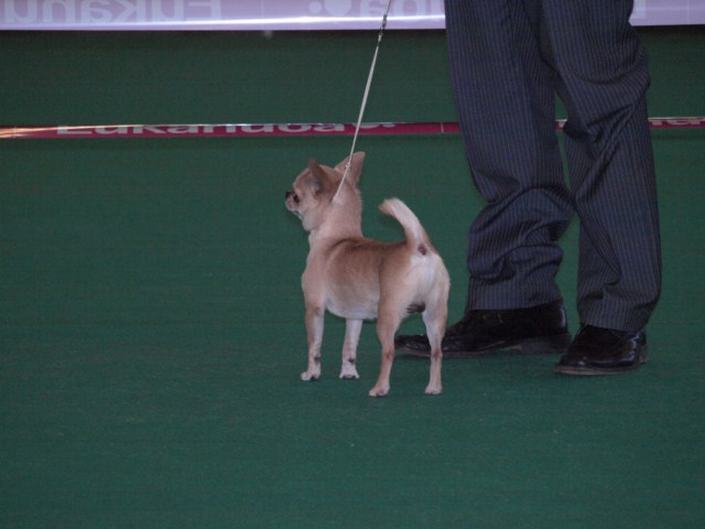 P7116468 [1600x1200]