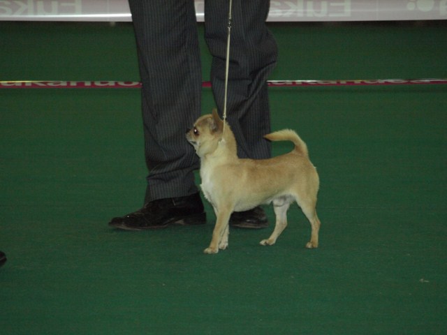 P7116469 [1600x1200]