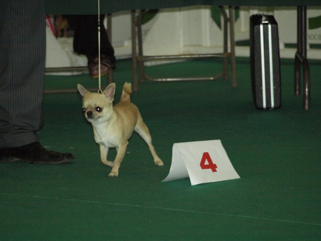 P7116470 [1600x1200]