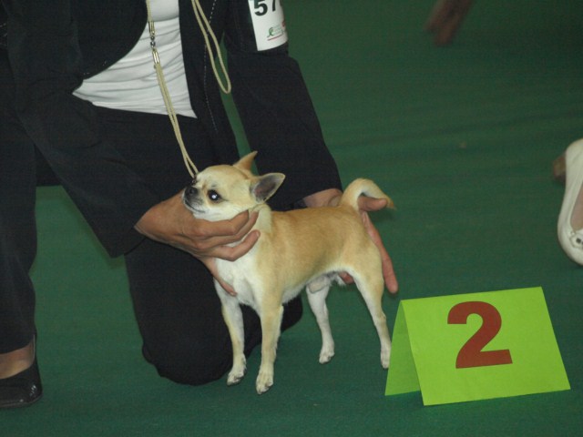 P7116471 [1600x1200]