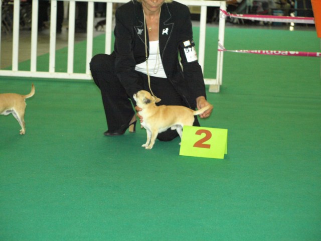 P7116472 [1600x1200]