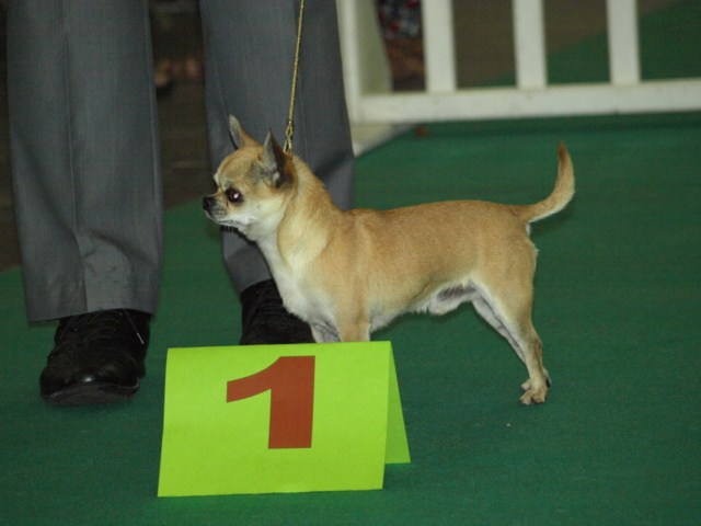 P7116473 [1600x1200]