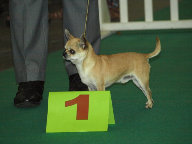 P7116474 [1600x1200]