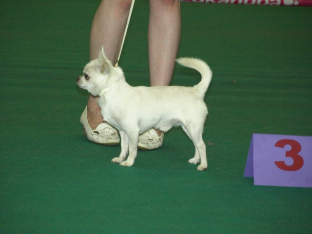 P7116475 [1600x1200]