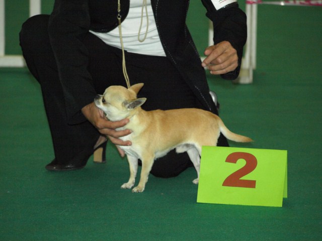 P7116476 [1600x1200]