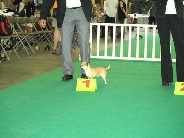 P7116477 [1600x1200]