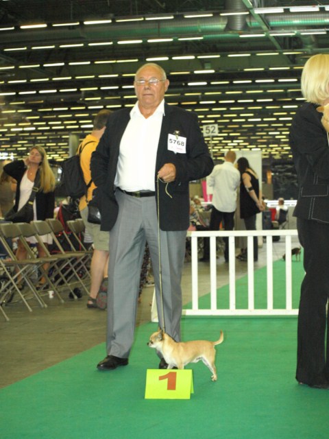 P7116478 [1600x1200]