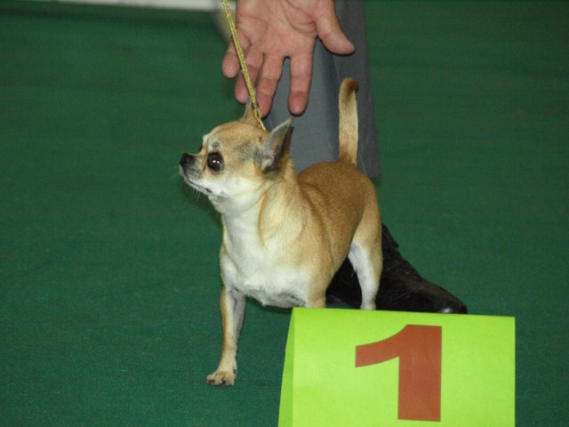 P7116479 [1600x1200]