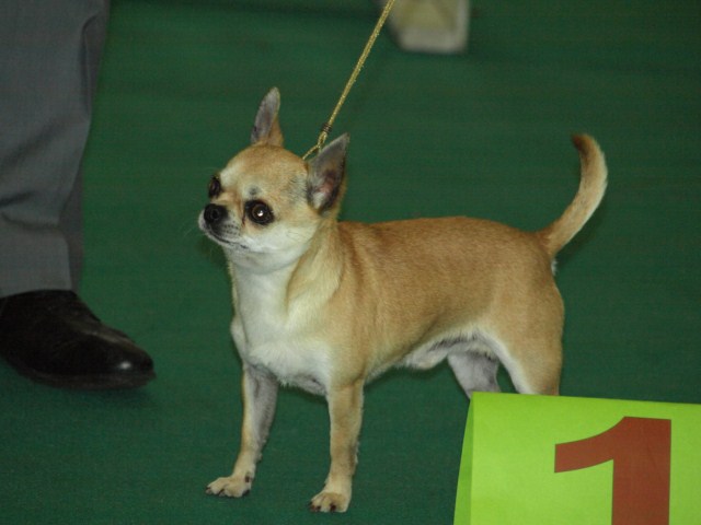 P7116480 [1600x1200]