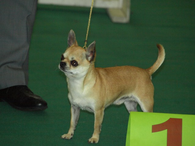 P7116481 [1600x1200]