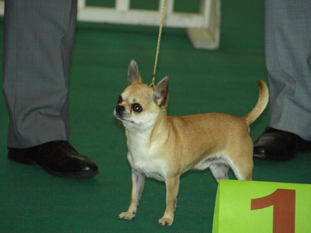 P7116482 [1600x1200]