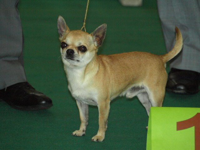 P7116484 [1600x1200]