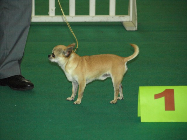 P7116485 [1600x1200]