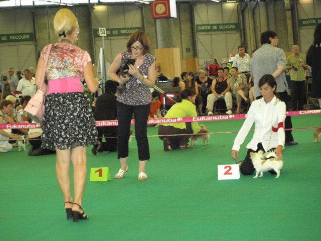 P7116486 [1600x1200]