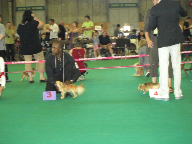 P7116487 [1600x1200]