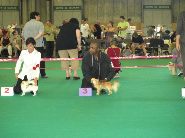 P7116488 [1600x1200]