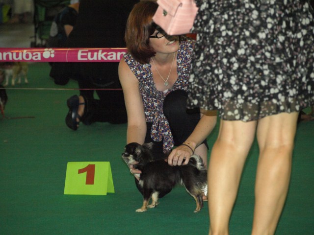 P7116489 [1600x1200]