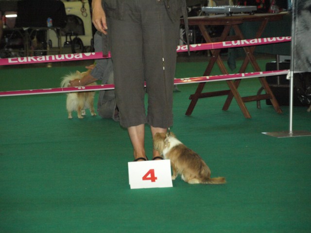 P7116490 [1600x1200]