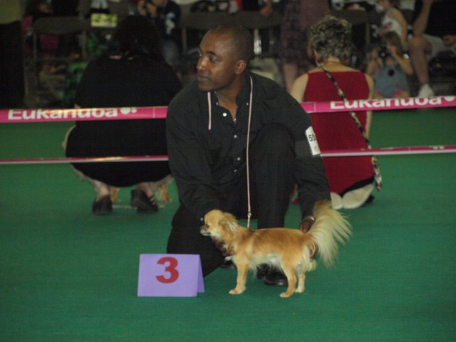 P7116491 [1600x1200]