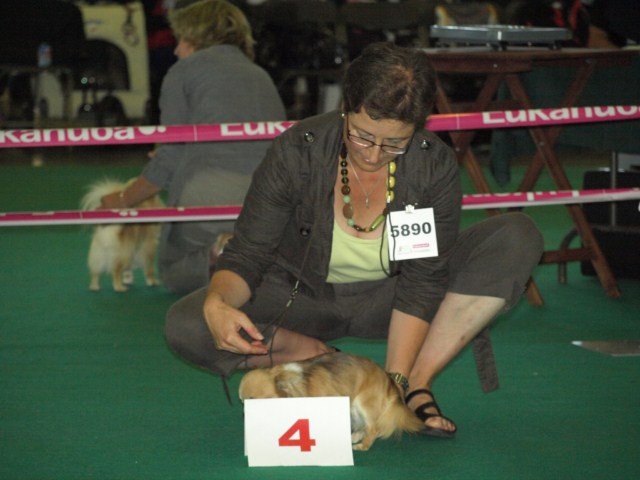 P7116492 [1600x1200]