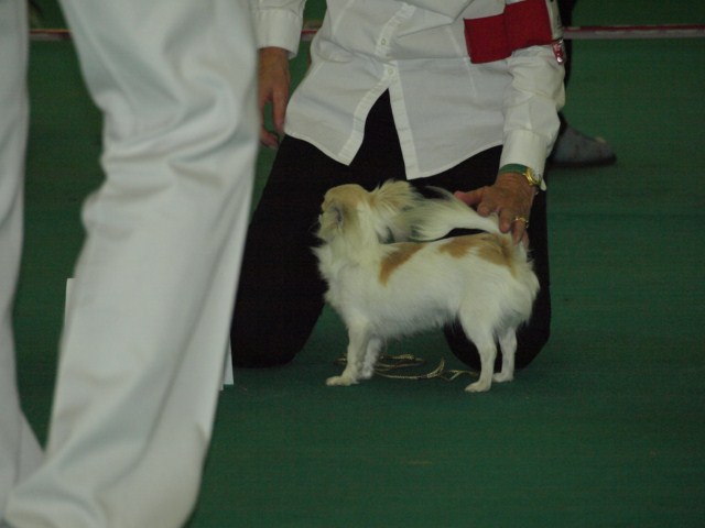 P7116493 [1600x1200]