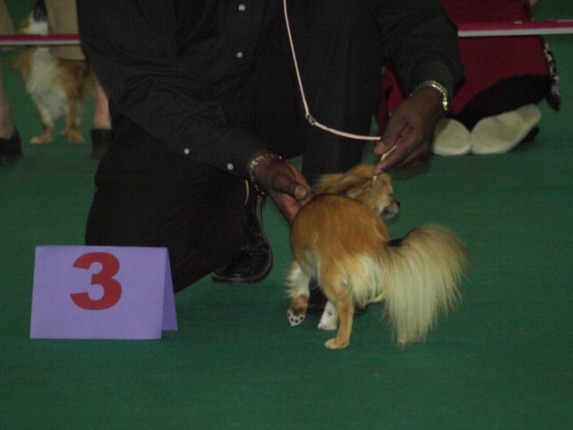 P7116494 [1600x1200]