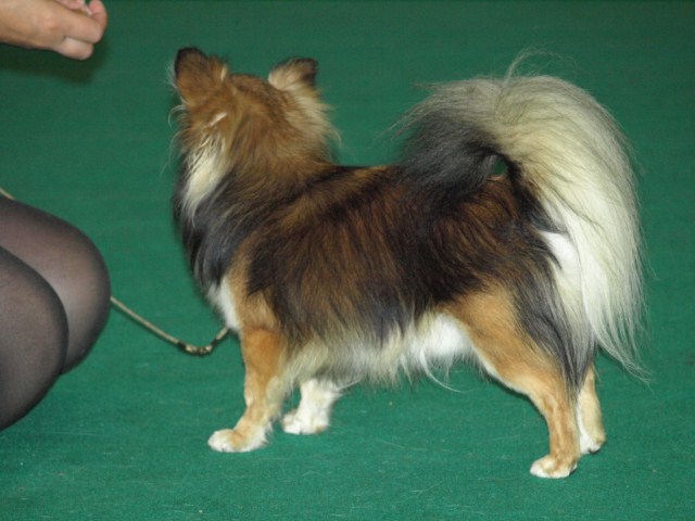 P7116495 [1600x1200]