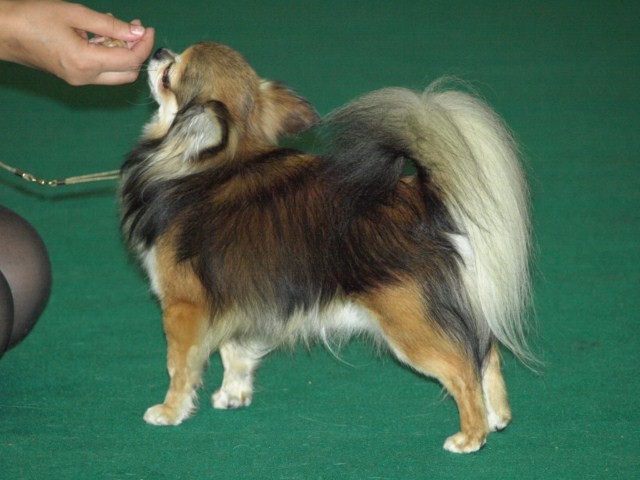 P7116496 [1600x1200]