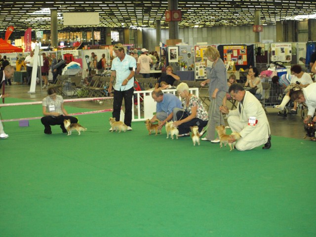 P7116497 [1600x1200]