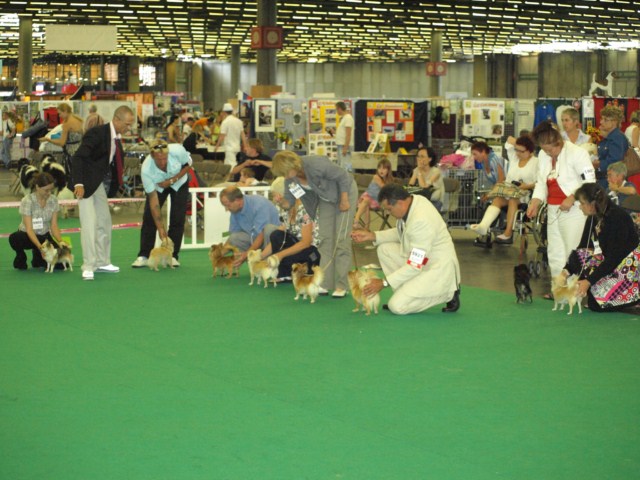 P7116498 [1600x1200]